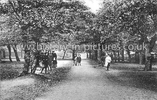 Forest Rise, Walthamstow, Londo. c.1912.